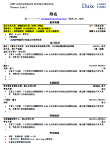 Resume example